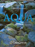 Aqua. Sorgenti, laghi e fiumi trentini e del nordest