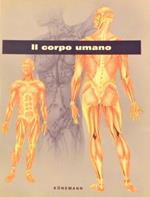 Il corpo umano