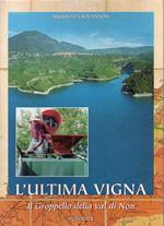 L’ultima vigna: il Groppello della Val di Non