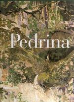 Pedrina: opere 1966-2000