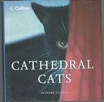 Cathedral Cats