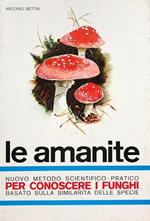 Le amanite: il genere micetico piu spettacolare per colori e forme il più facile a determinare per la ricchezza dei caratteri botanici il più necessario a conoscersi perché annovera funghi mortali