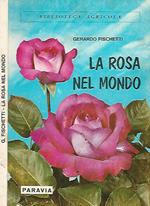 La rosa nel mondo