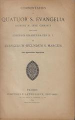 Commentarius in quatoue S. Evangelia domini N. Iesu Christi Vol II