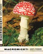 Macromiceti. Funghi superiori eduli e tossici