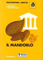 Il Mandorlo