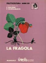 La Fragola