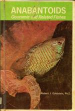 Anabantoids. Gouramis and Related Fishes