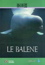 Le balene