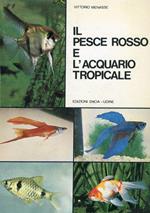 Il Pesce Rosso e l'Acquario Tropicale