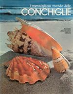 Il Meraviglioso Mondo delle Conchiglie