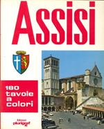 Assisi. Arte e Storia nei Secoli
