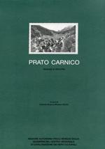 Prato Carnico. Inventario dei beni culturali. Itinerari e ricerche