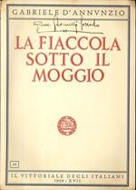 La fiaccola sotto il moggio