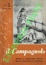 Il Campagnolo. N. 5. Maggio 1963