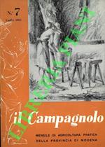 Il Campagnolo. N. 7. Luglio 1963