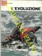 L' evoluzione