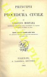 Principi di procedura civile