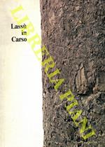 Lassù in Carso