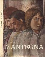 Le pitture del Mantegna