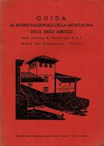 Guida al Museo Nazionale della Montagna 