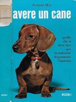 Avere un cane