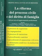 La riforma del processo civile e del diritto di famiglia. Atti del corso di aggiornamento professionale