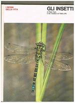 Gli insetti. Collana i regni della vita