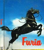 Furia