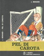 Pel di carota