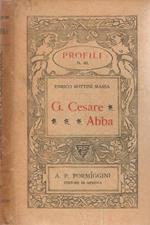 G. Cesare Abba