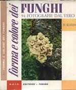 Forma e colore dei funghi