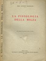 La fisiologia della milza