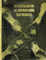 Microrganismi al microscopio elettronico