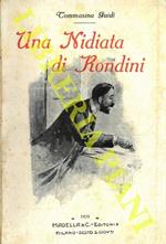 Una nidiata di rondini