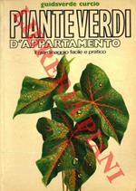 Piante verdi d'appartamento