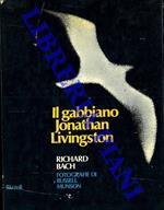 Il gabbiano Jonathan Livingstone