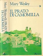 Il prato di camomilla