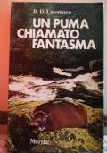 Un Puma chiamato fantasma