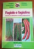 Fagiolo e fagiolino