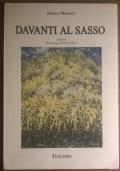 Davanti al sasso