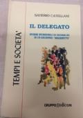 Il delegato. Storie incredibili di giovani DC in un decennio maledetto