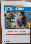 Amico Chip