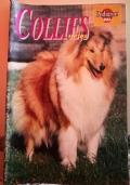 Collies