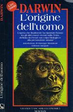 L' origine dell'uomo