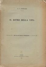 Il ritmo della vita