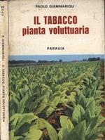 Il tabacco, pianta voluttaria