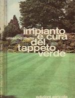 Impianto e cura del tappeto verde