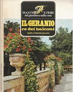 Il geranio