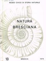 Natura bresciana n.13, 1976